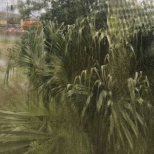 Meet your Posher, Imelda